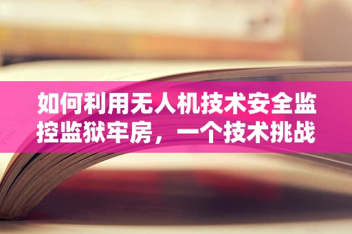 如何利用无人机技术安全监控监狱牢房，一个技术挑战的探讨