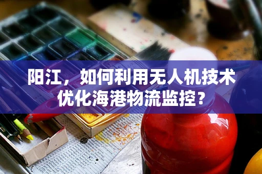 阳江，如何利用无人机技术优化海港物流监控？