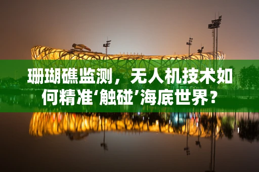 珊瑚礁监测，无人机技术如何精准‘触碰’海底世界？