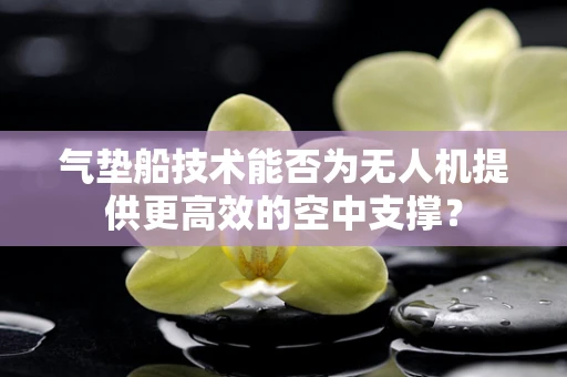 气垫船技术能否为无人机提供更高效的空中支撑？