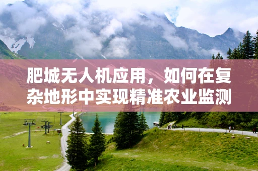 肥城无人机应用，如何在复杂地形中实现精准农业监测？