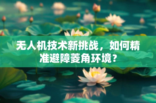 无人机技术新挑战，如何精准避障菱角环境？