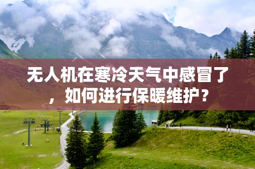 无人机在寒冷天气中感冒了，如何进行保暖维护？