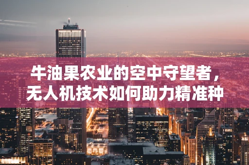 牛油果农业的空中守望者，无人机技术如何助力精准种植？