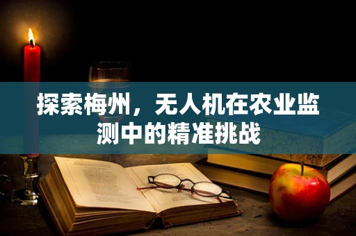 探索梅州，无人机在农业监测中的精准挑战