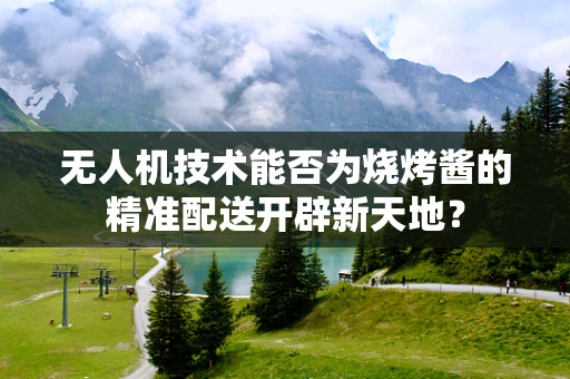 无人机技术能否为烧烤酱的精准配送开辟新天地？