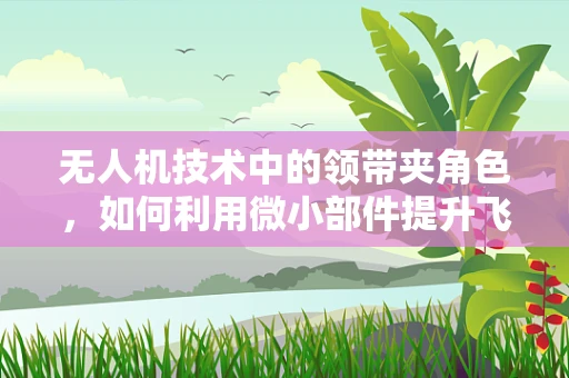 无人机技术中的领带夹角色，如何利用微小部件提升飞行稳定性？
