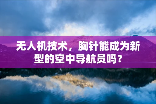 无人机技术，胸针能成为新型的空中导航员吗？