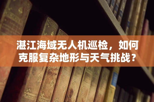 湛江海域无人机巡检，如何克服复杂地形与天气挑战？