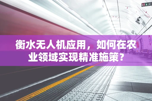衡水无人机应用，如何在农业领域实现精准施策？