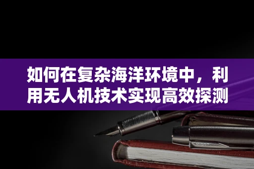 如何在复杂海洋环境中，利用无人机技术实现高效探测？