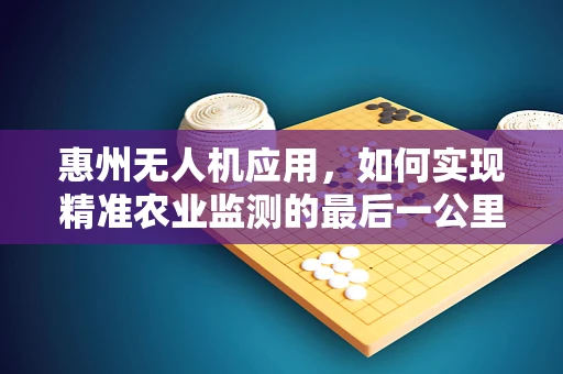 惠州无人机应用，如何实现精准农业监测的最后一公里？