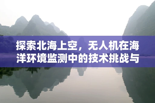 探索北海上空，无人机在海洋环境监测中的技术挑战与解决方案？