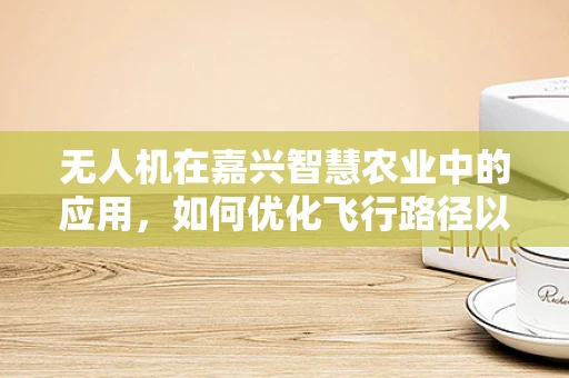 无人机在嘉兴智慧农业中的应用，如何优化飞行路径以提升作物监测效率？