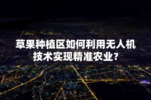 草果种植区如何利用无人机技术实现精准农业？