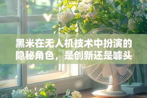 黑米在无人机技术中扮演的隐秘角色，是创新还是噱头？