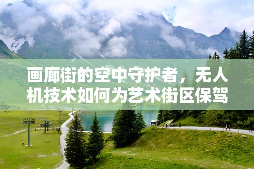 画廊街的空中守护者，无人机技术如何为艺术街区保驾护航？