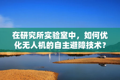在研究所实验室中，如何优化无人机的自主避障技术？