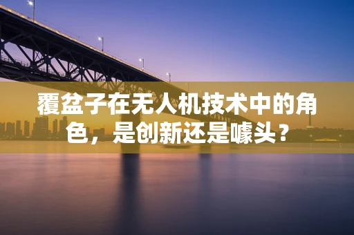覆盆子在无人机技术中的角色，是创新还是噱头？
