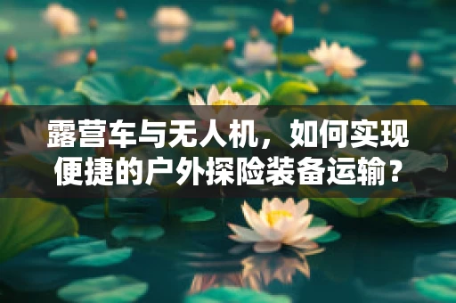 露营车与无人机，如何实现便捷的户外探险装备运输？