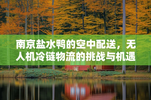 南京盐水鸭的空中配送，无人机冷链物流的挑战与机遇