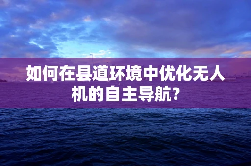 如何在县道环境中优化无人机的自主导航？