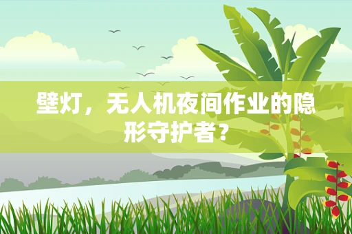 壁灯，无人机夜间作业的隐形守护者？