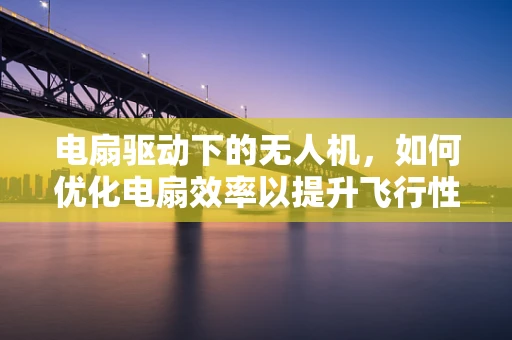 电扇驱动下的无人机，如何优化电扇效率以提升飞行性能？