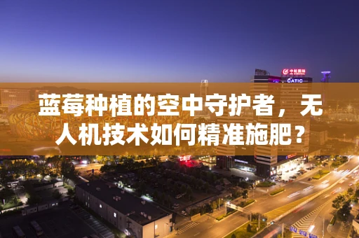 蓝莓种植的空中守护者，无人机技术如何精准施肥？