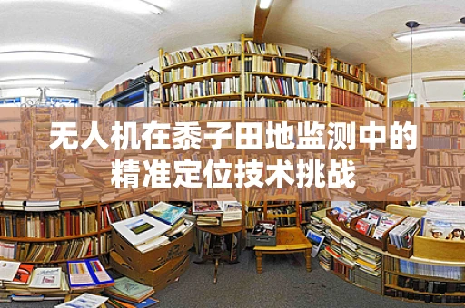 无人机在黍子田地监测中的精准定位技术挑战