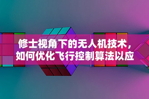 修士视角下的无人机技术，如何优化飞行控制算法以应对复杂环境？