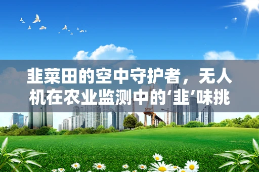 韭菜田的空中守护者，无人机在农业监测中的‘韭’味挑战