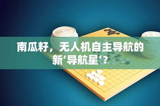 南瓜籽，无人机自主导航的新‘导航星’？