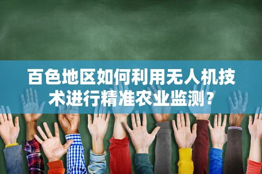 百色地区如何利用无人机技术进行精准农业监测？