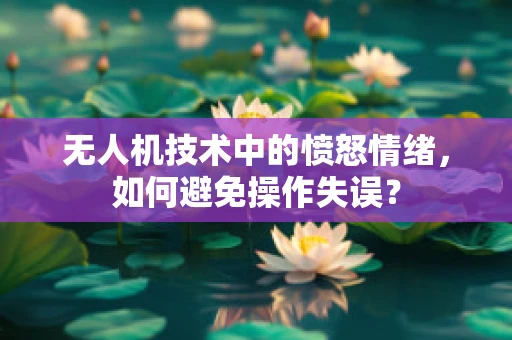 无人机技术中的愤怒情绪，如何避免操作失误？