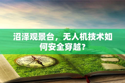 沼泽观景台，无人机技术如何安全穿越？