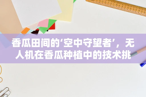 香瓜田间的‘空中守望者’，无人机在香瓜种植中的技术挑战与解决方案