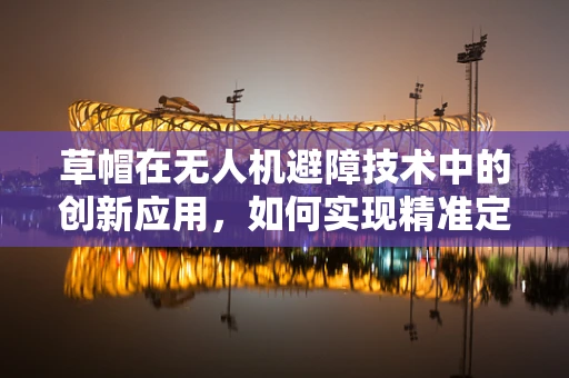 草帽在无人机避障技术中的创新应用，如何实现精准定位与避障？