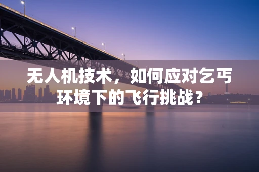 无人机技术，如何应对乞丐环境下的飞行挑战？