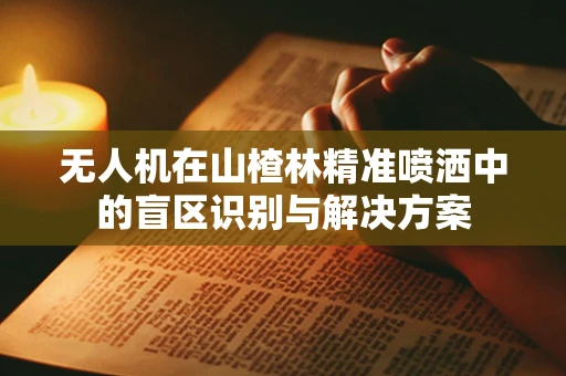无人机在山楂林精准喷洒中的盲区识别与解决方案