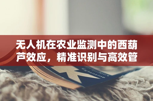 无人机在农业监测中的西葫芦效应，精准识别与高效管理的关键挑战