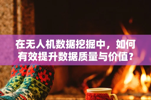 在无人机数据挖掘中，如何有效提升数据质量与价值？