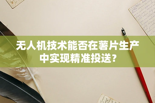 无人机技术能否在薯片生产中实现精准投送？