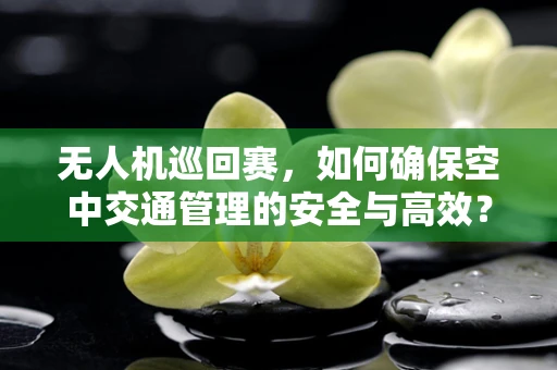 无人机巡回赛，如何确保空中交通管理的安全与高效？