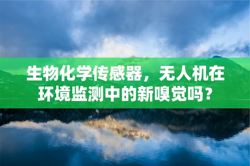 生物化学传感器，无人机在环境监测中的新嗅觉吗？