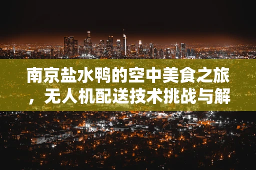南京盐水鸭的空中美食之旅，无人机配送技术挑战与解决方案
