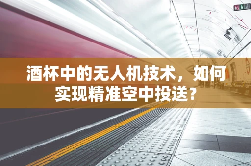 酒杯中的无人机技术，如何实现精准空中投送？