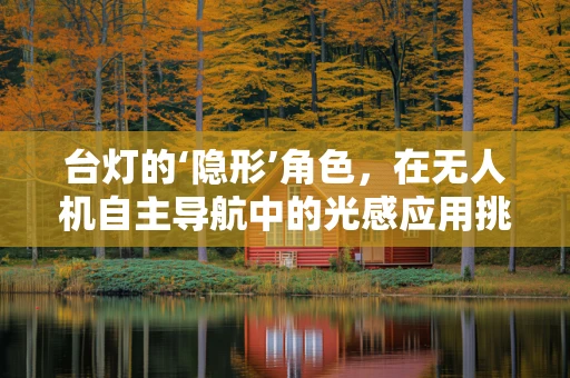 台灯的‘隐形’角色，在无人机自主导航中的光感应用挑战？