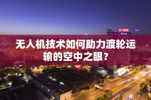 无人机技术如何助力渡轮运输的空中之眼？