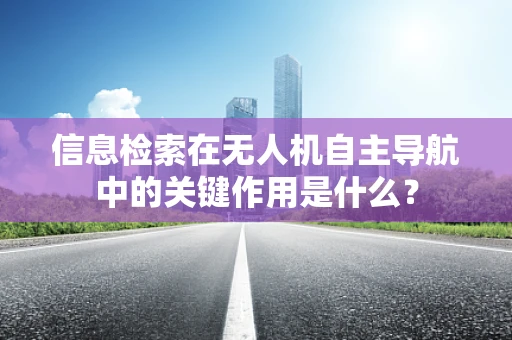 信息检索在无人机自主导航中的关键作用是什么？